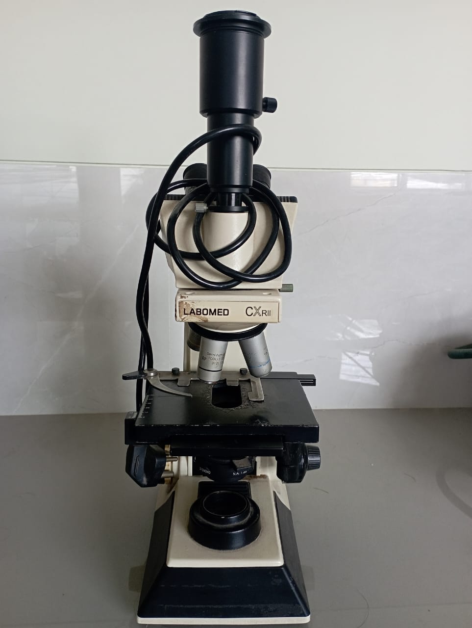 Trinocular Microscope